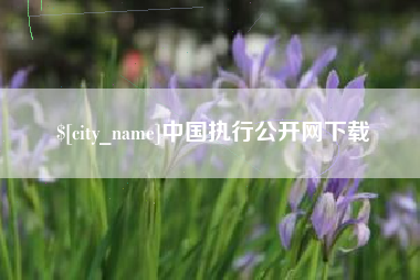 漳州中国执行公开网下载