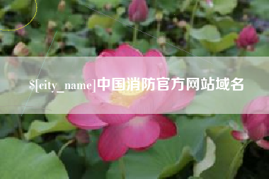 漳州中国消防官方网站域名