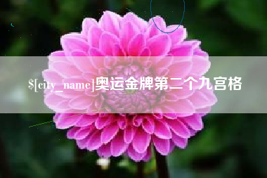 漳州奥运金牌第二个九宫格
