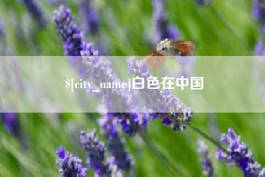 漳州白色在中国