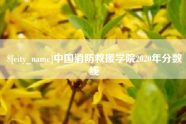 漳州中国消防救援学院2020年分数线