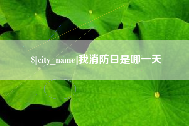 漳州我消防日是哪一天