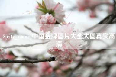 漳州中国金牌图片大全大图真实高清