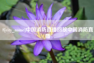 漳州中国消防直播回放中国消防直播
