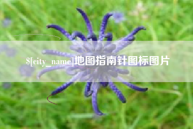 漳州地图指南针图标图片