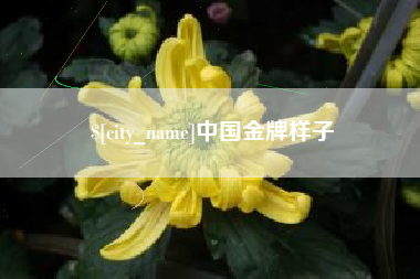 漳州中国金牌样子