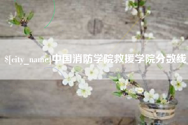 漳州中国消防学院救援学院分数线