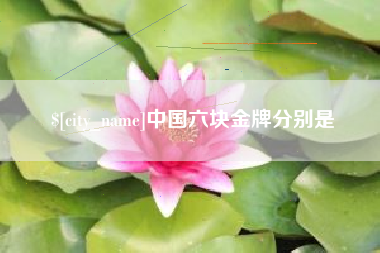 漳州中国六块金牌分别是
