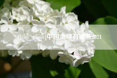 漳州中国金牌有哪些2021