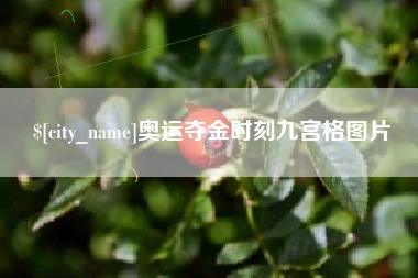 漳州奥运夺金时刻九宫格图片