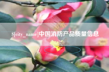 漳州中国消防产品质量信息