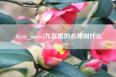 漳州九宫格的名称叫什么