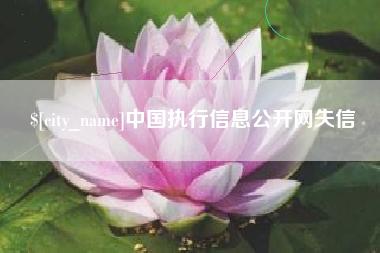 漳州中国执行信息公开网失信