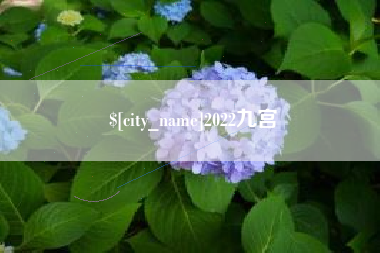 漳州2022九宫