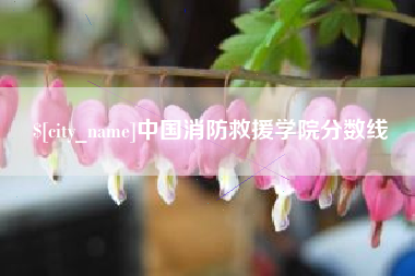 漳州中国消防救援学院分数线