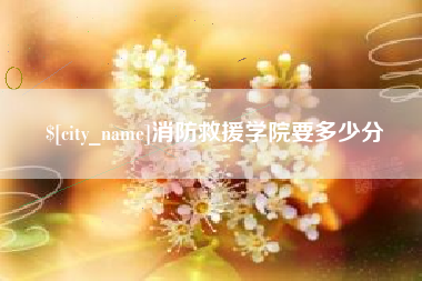 漳州消防救援学院要多少分