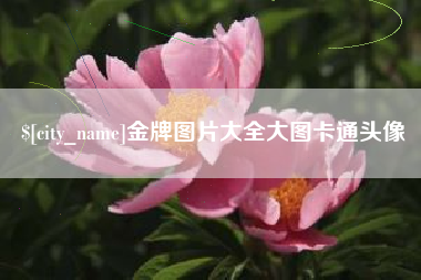 漳州金牌图片大全大图卡通头像