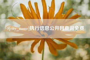 漳州执行信息公开网查询免费