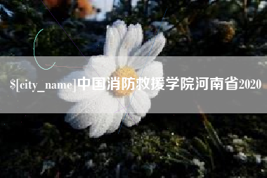 漳州中国消防救援学院河南省2020