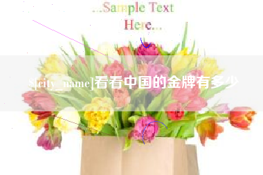 漳州看看中国的金牌有多少